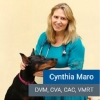 drcindymarodvm7 Avatar